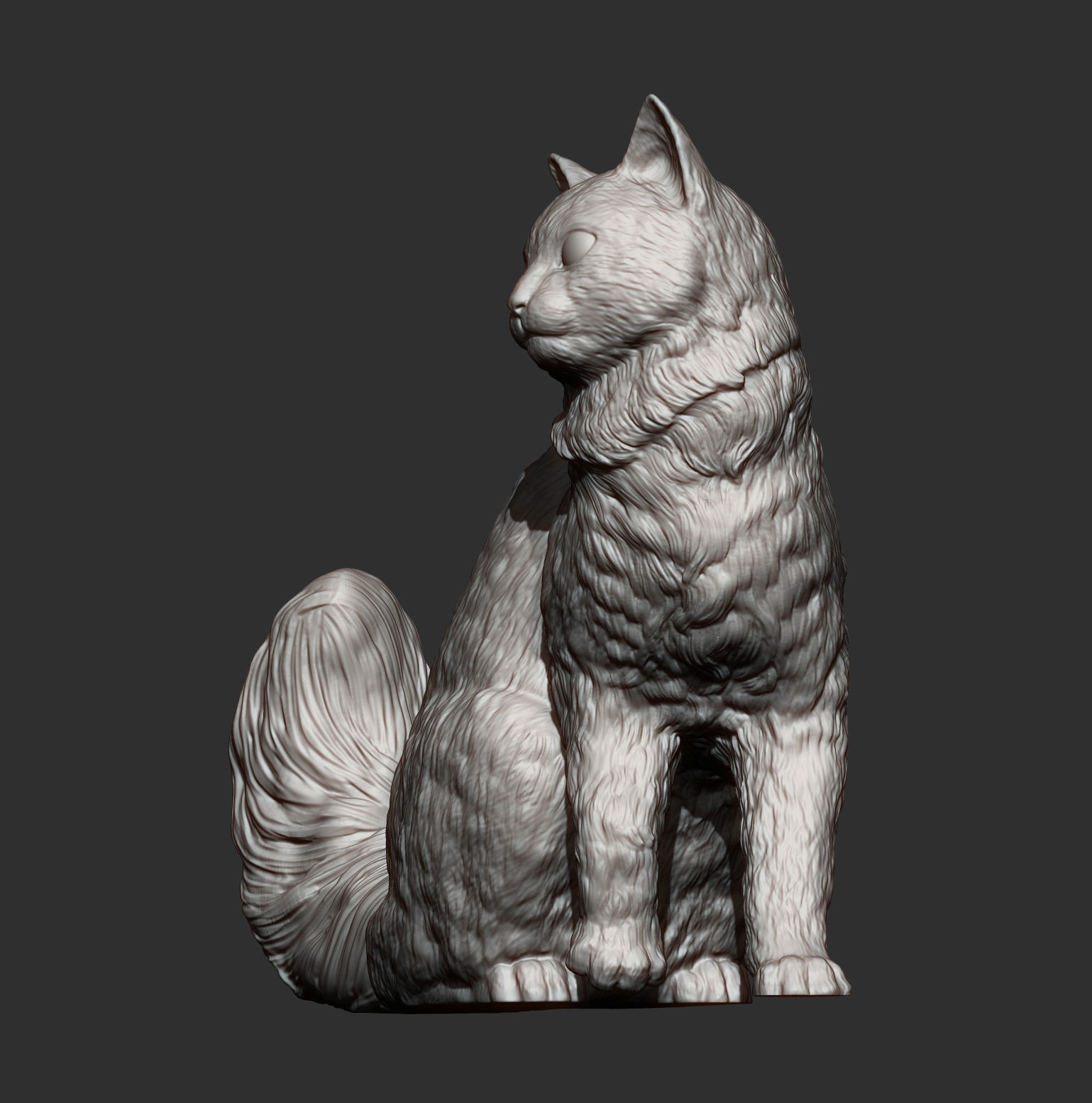 somali cat 3D print model_5