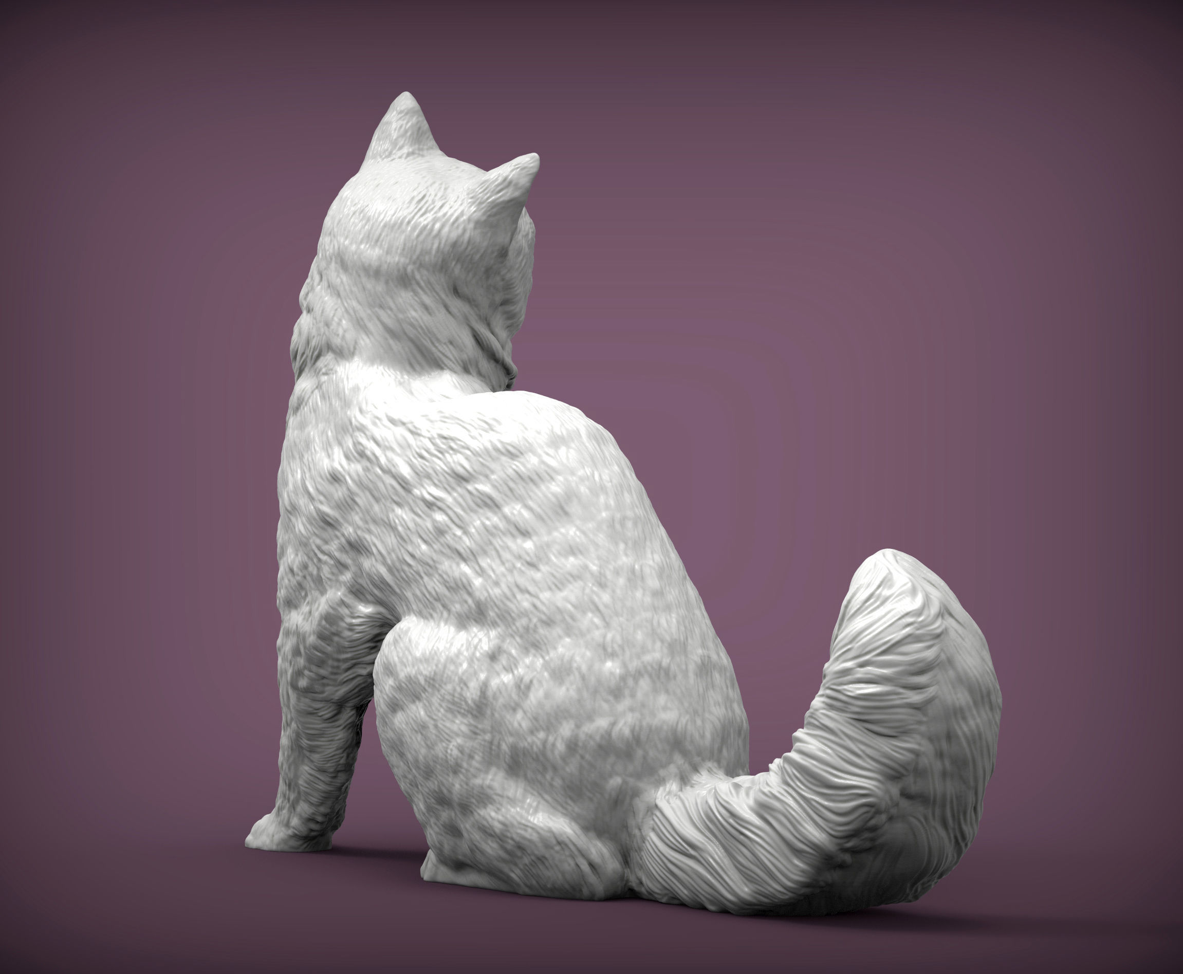 somali cat 3D print model_2