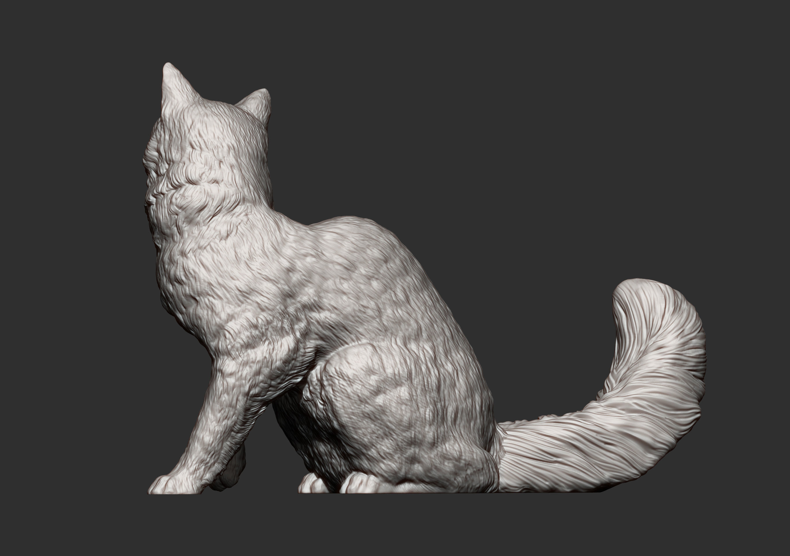 somali cat 3D print model_9