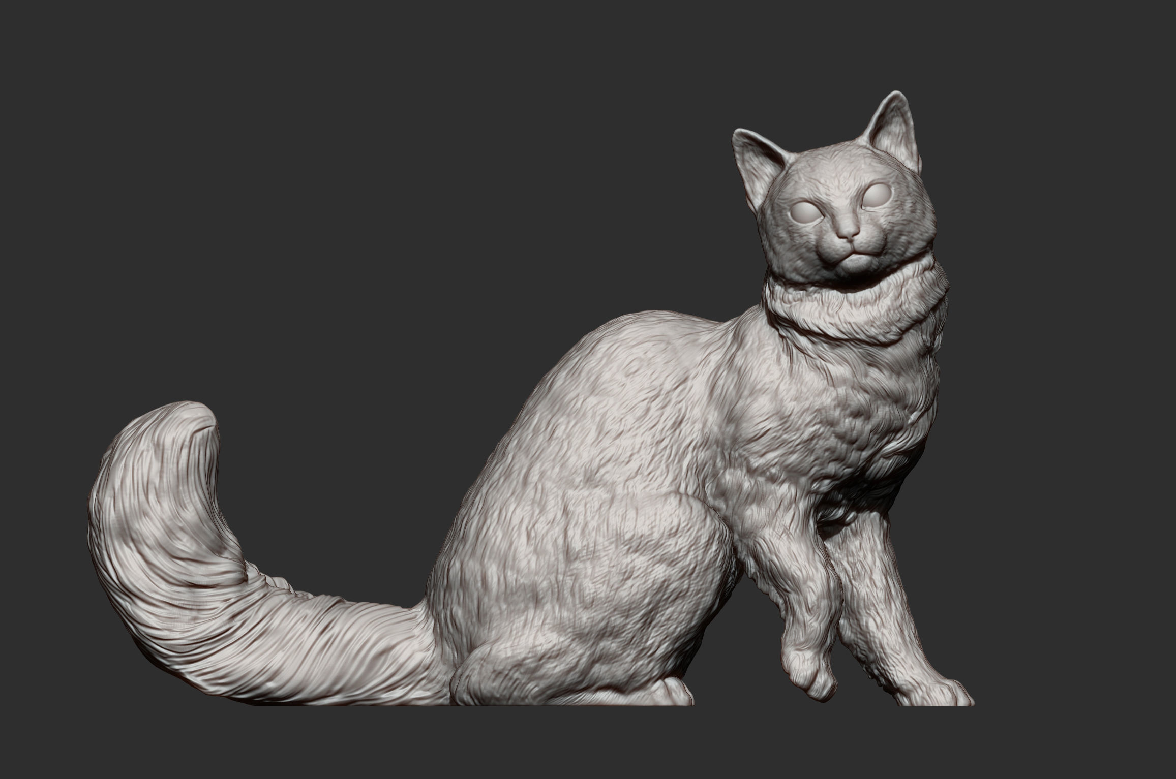 somali cat 3D print model_8