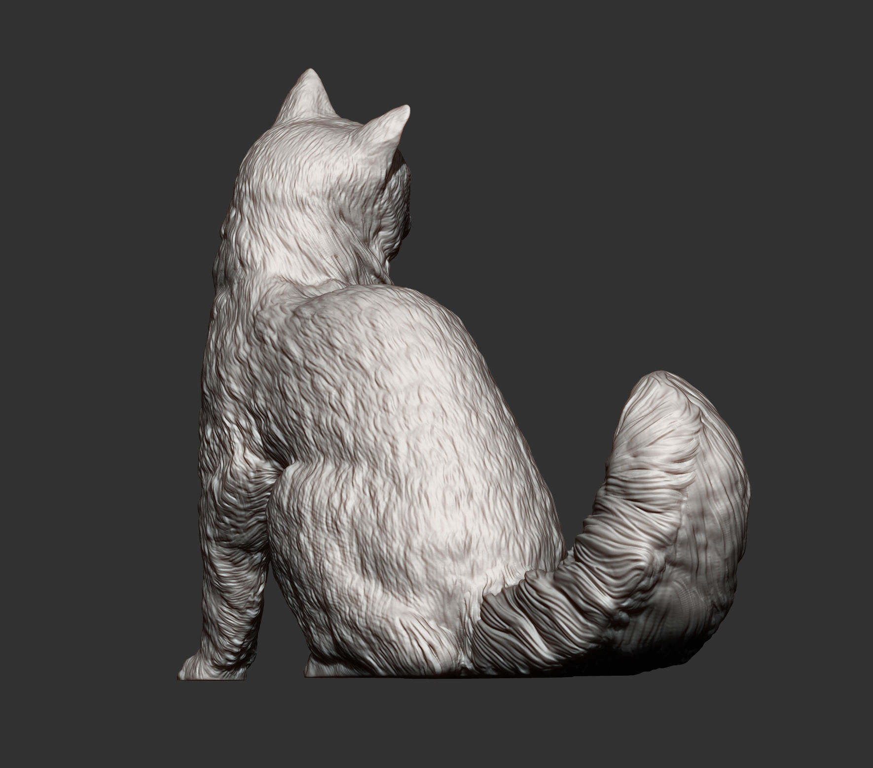 somali cat 3D print model_10