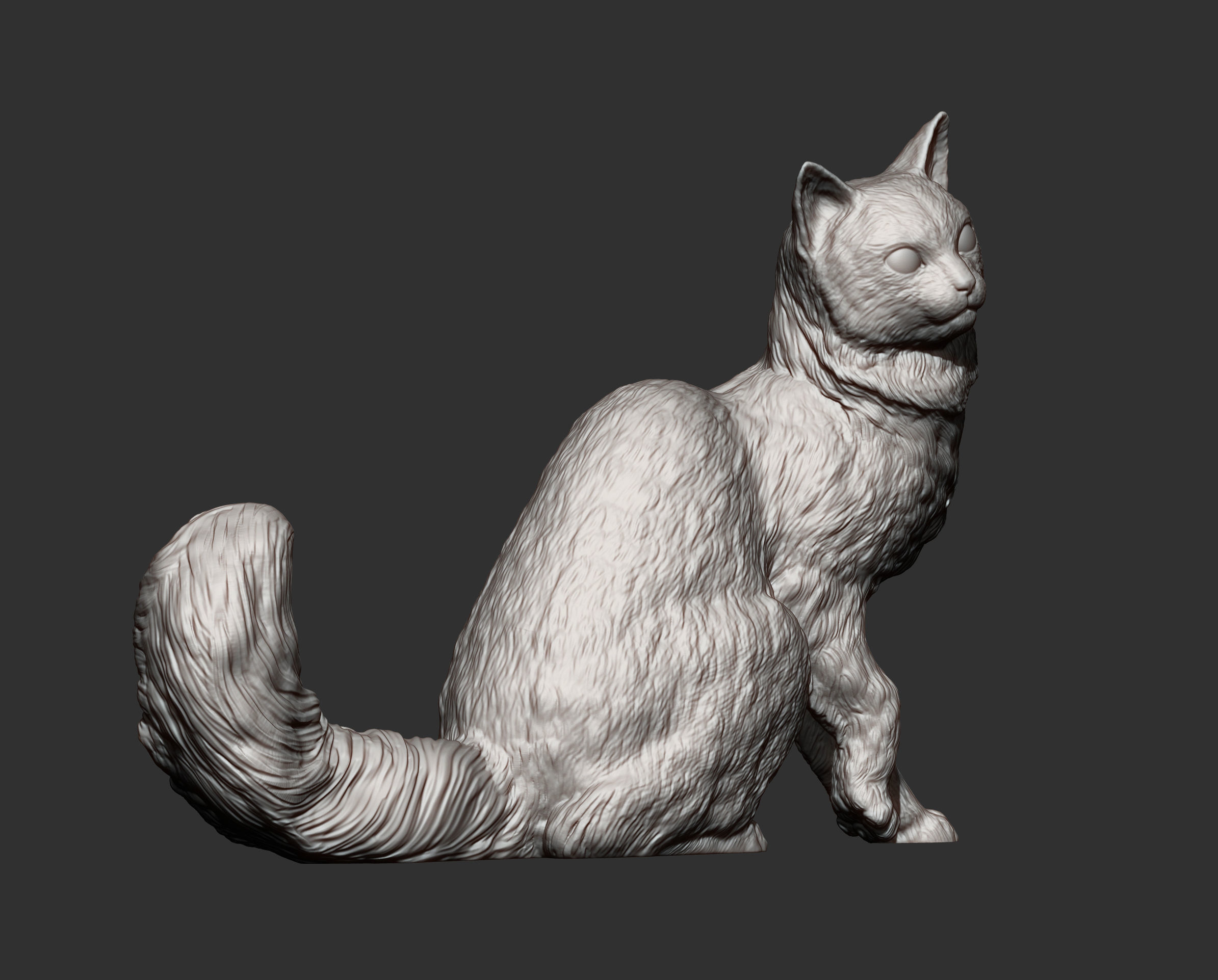 somali cat 3D print model_7