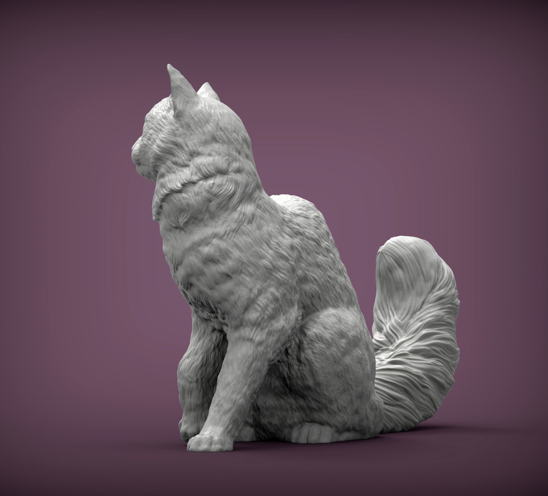 somali cat 3D print model_4