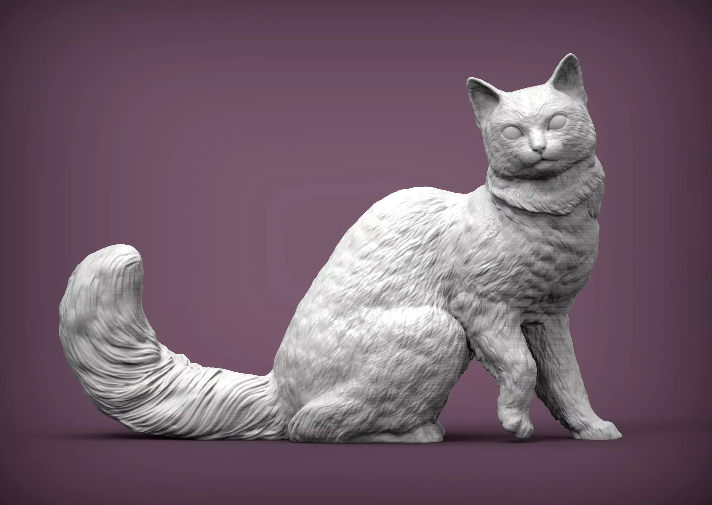 somali cat 3D print model_0