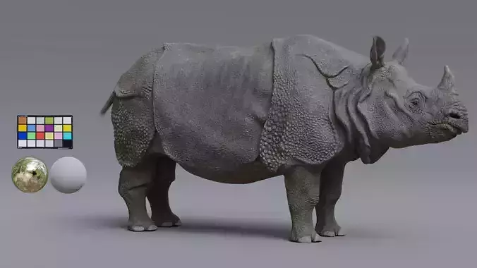 indian rhino Low-poly 3D model