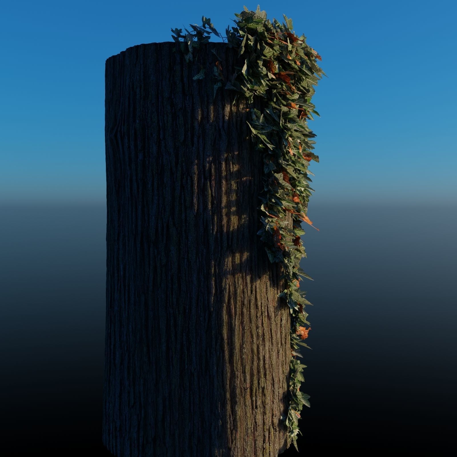 English Ivy - Hedera Helix - HD Asset Low-poly 3D model_2