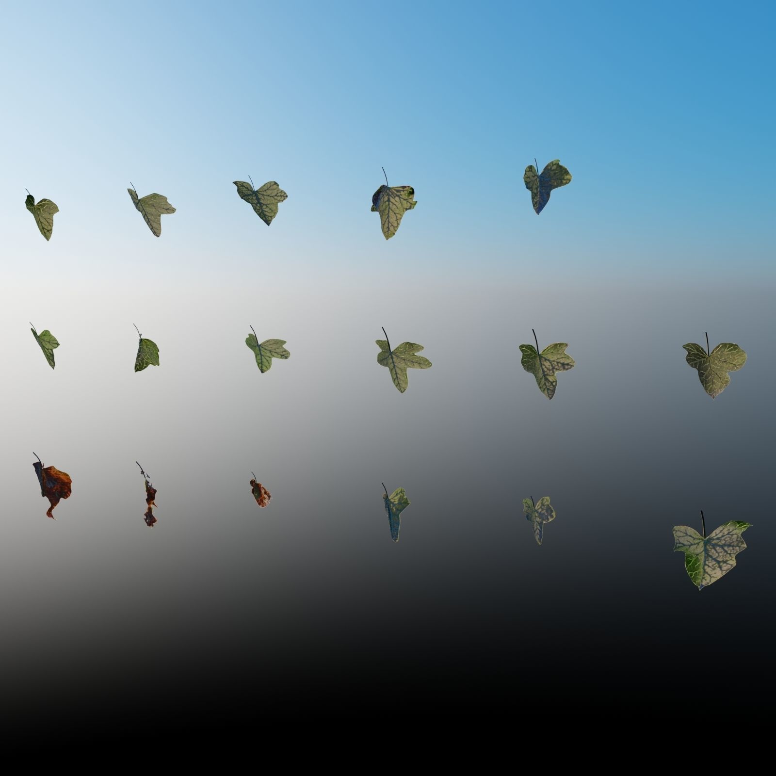 English Ivy - Hedera Helix - HD Asset Low-poly 3D model_5