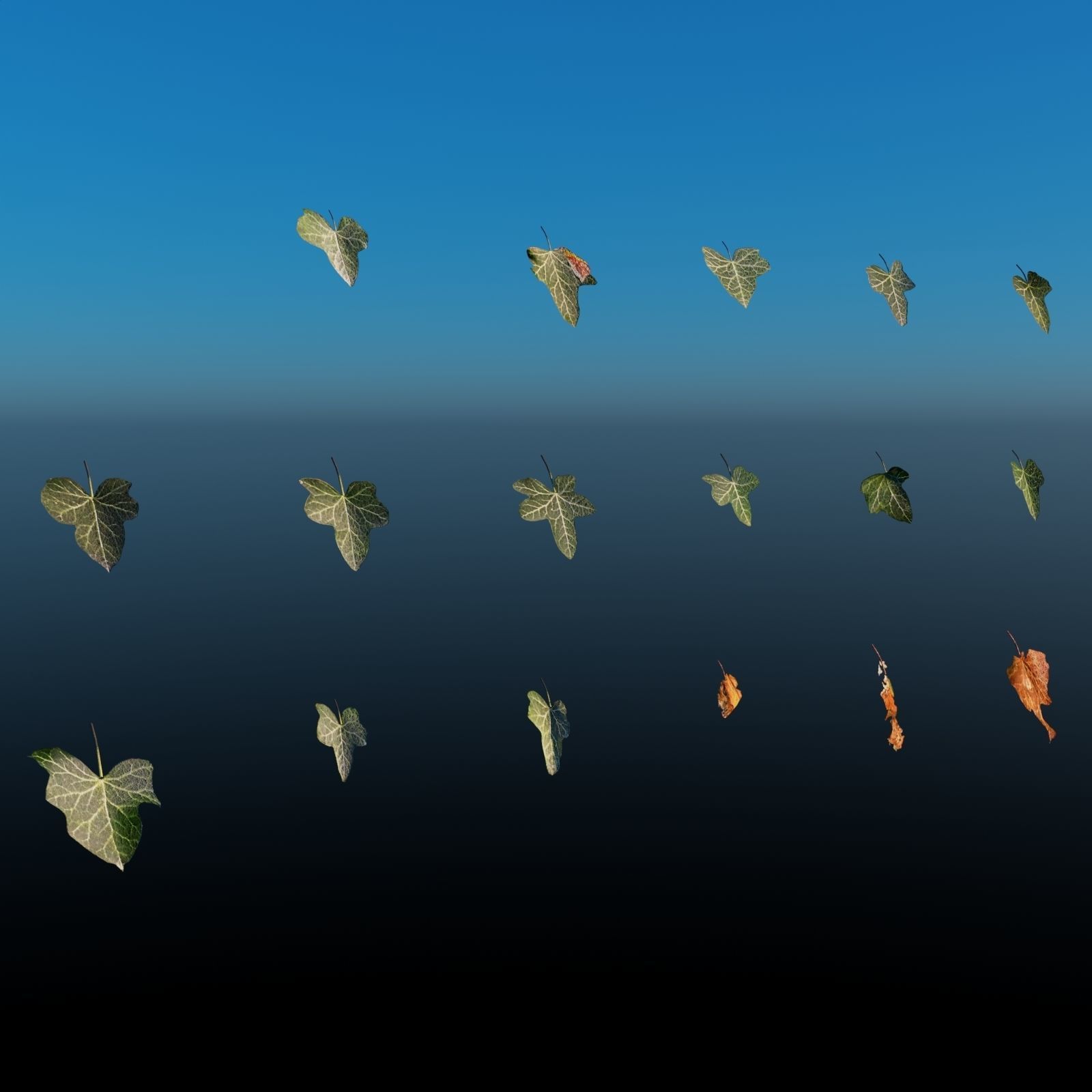 English Ivy - Hedera Helix - HD Asset Low-poly 3D model_3