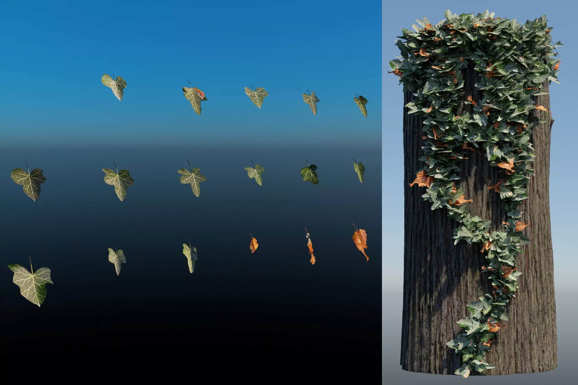 English Ivy - Hedera Helix - HD Asset Low-poly 3D model_0