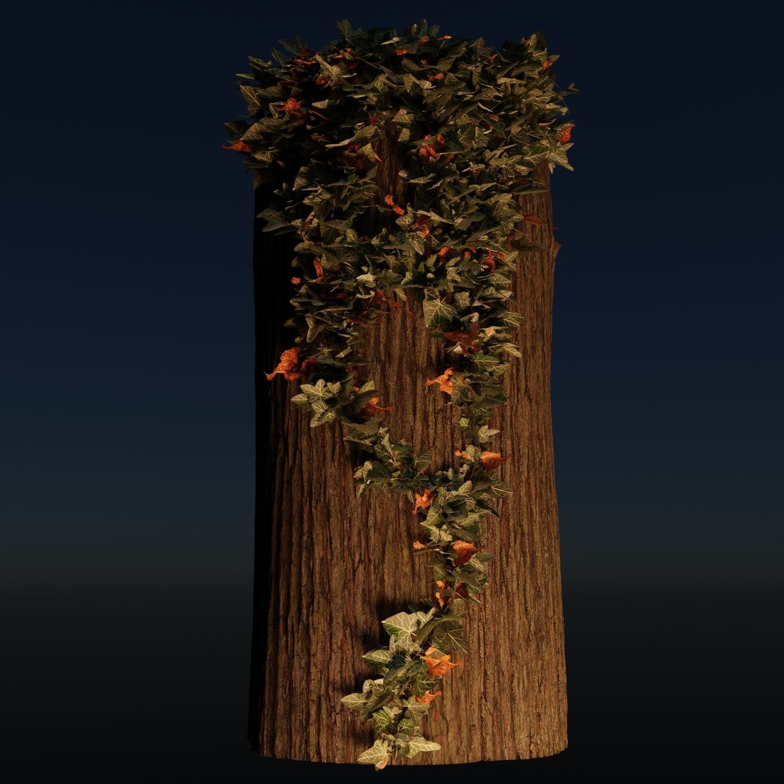English Ivy - Hedera Helix - HD Asset Low-poly 3D model_7