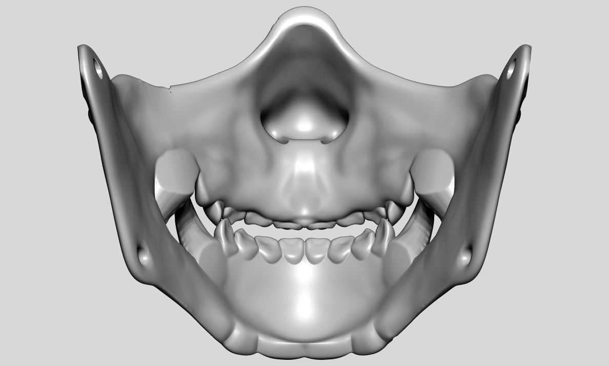 HANYA Halfmask - lifesize 3D print model_3
