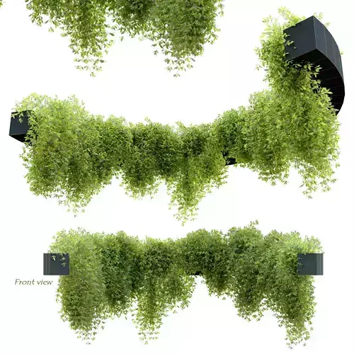 Circular shaped ivy 3D model
