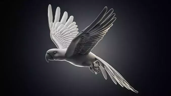 parrot flying in air