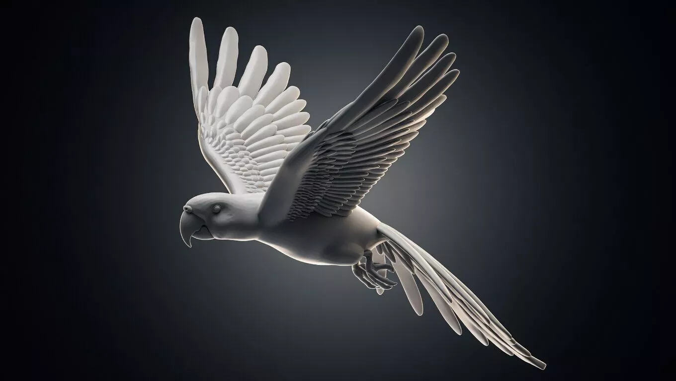 parrot flying in air 3D model