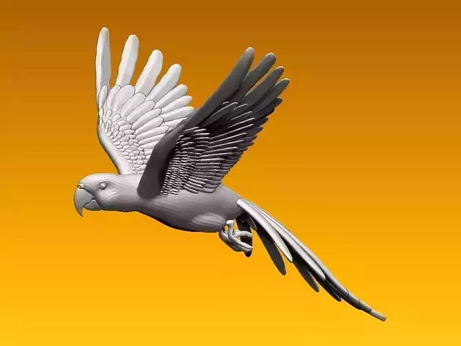 parrot flying in air 3D model