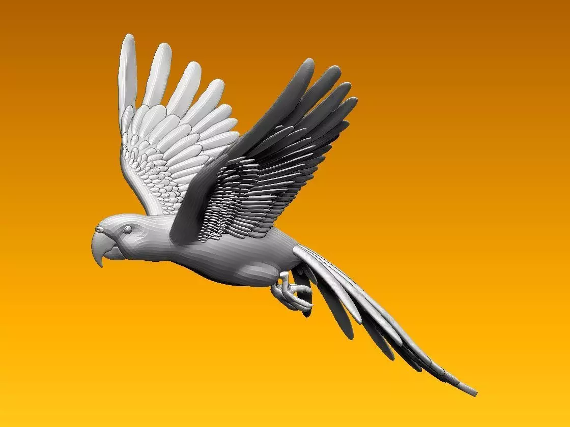 parrot flying in air 3D model
