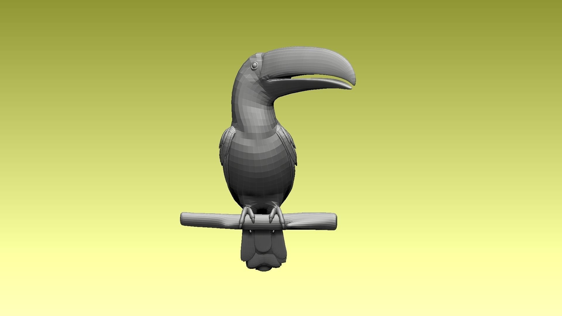 tucan toucan bird 3D model_9