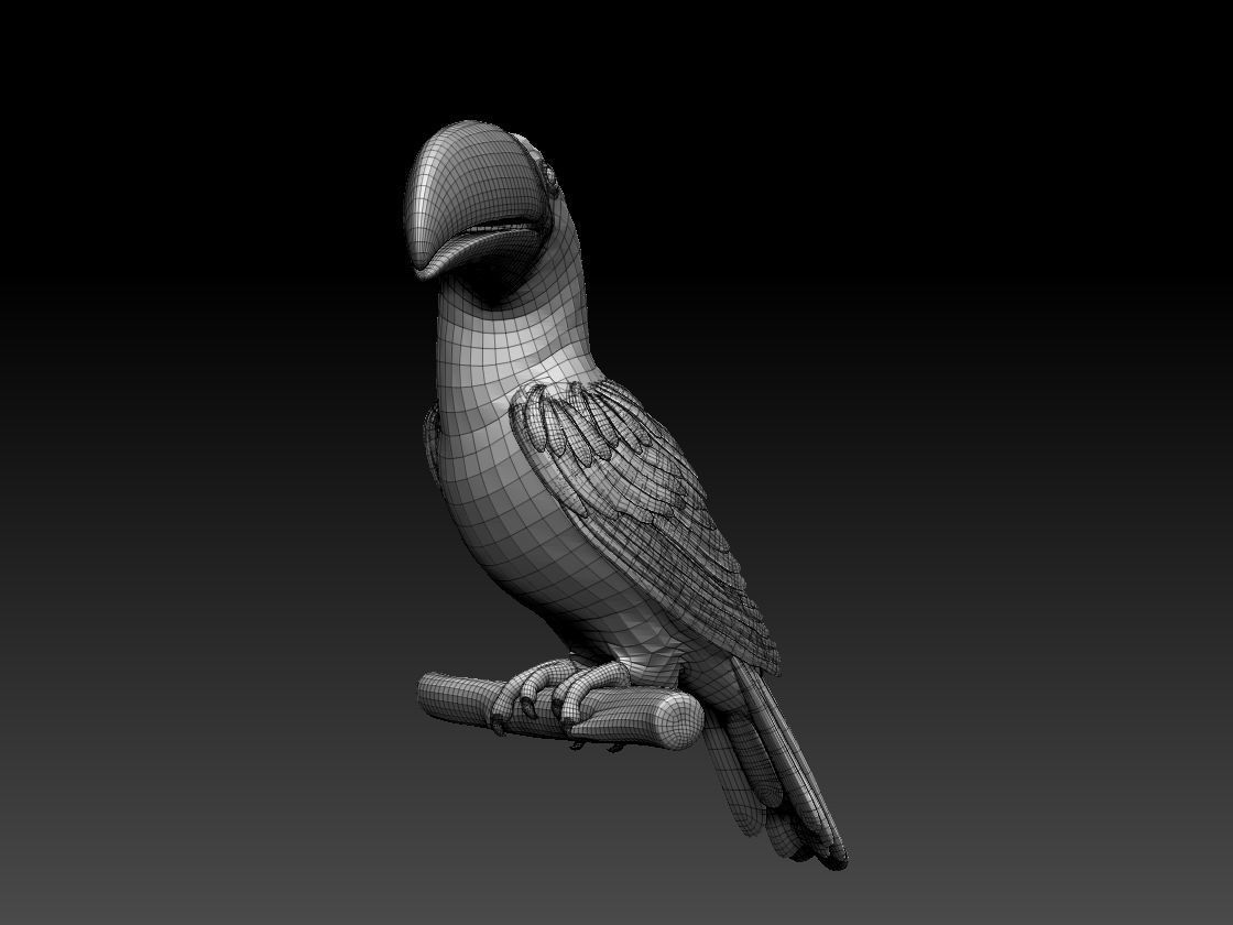 tucan toucan bird 3D model_2