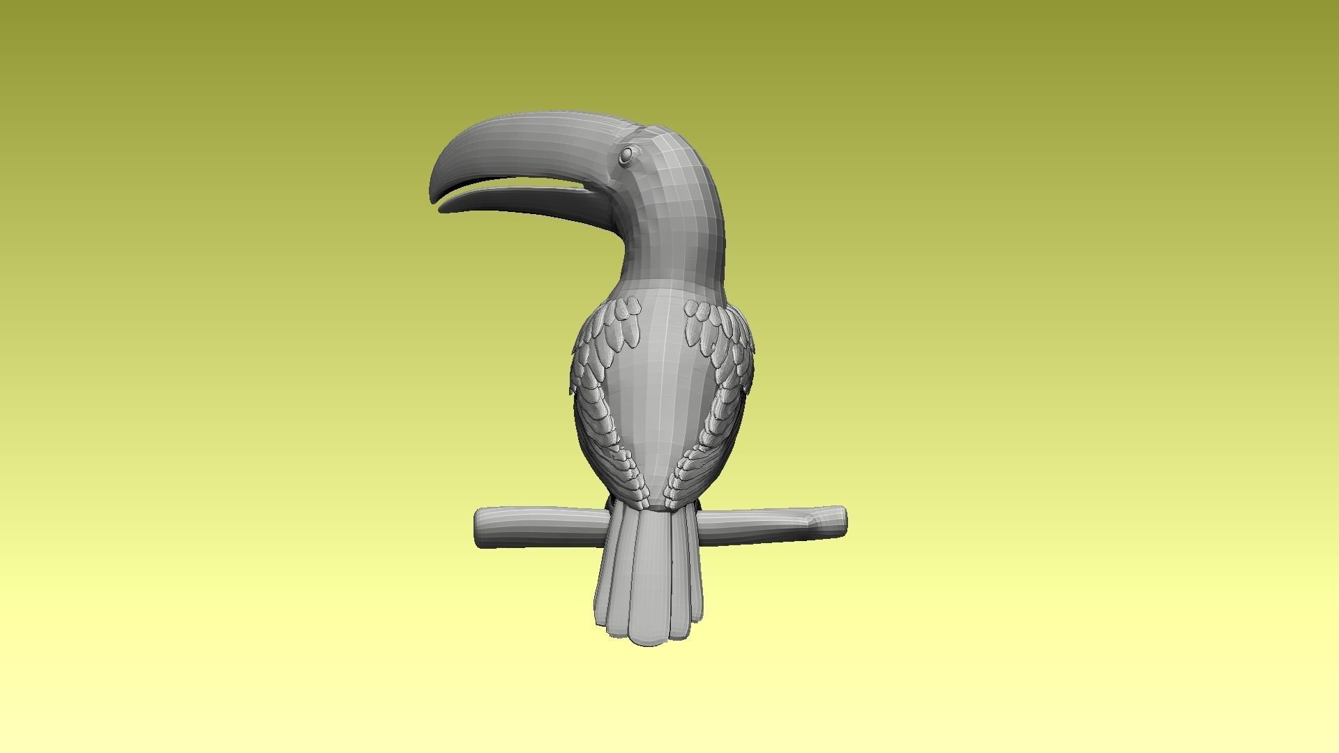 tucan toucan bird 3D model_7