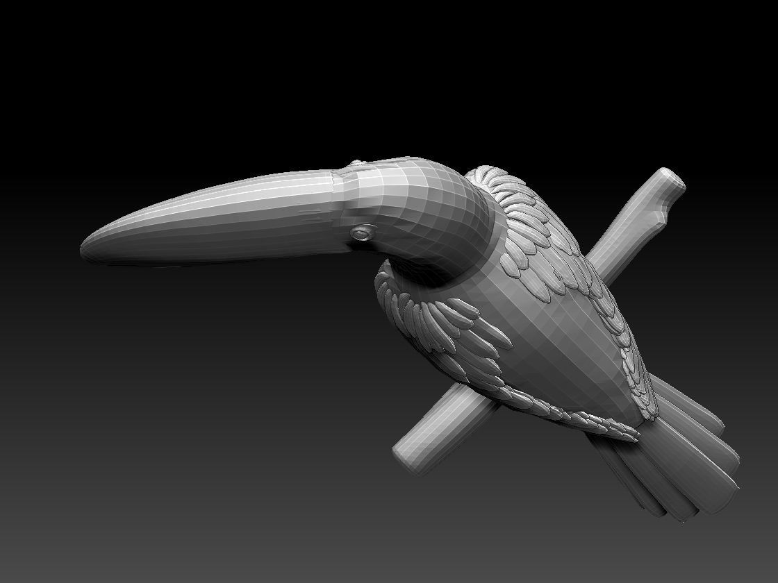 tucan toucan bird 3D model_12