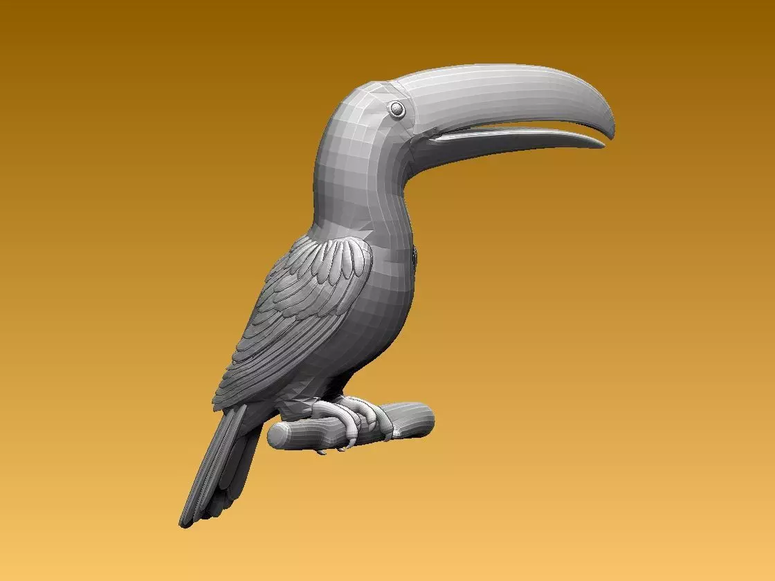 tucan toucan bird 3D model_0