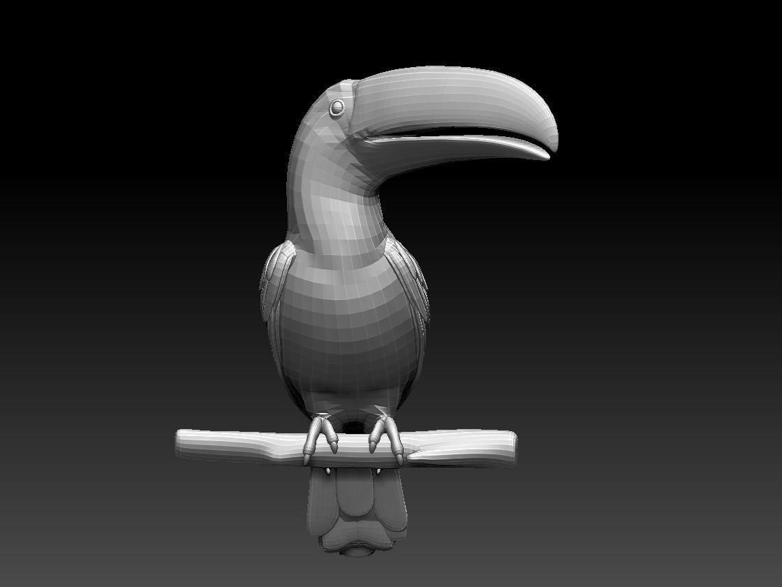 tucan toucan bird 3D model_15