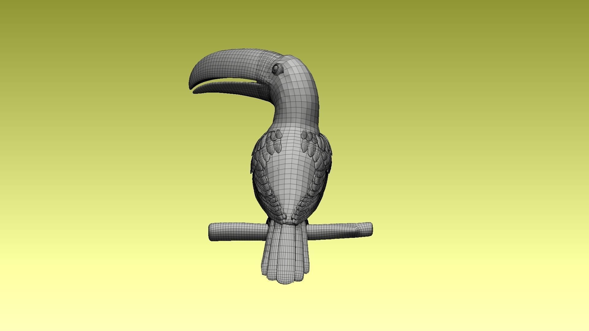 tucan toucan bird 3D model_10