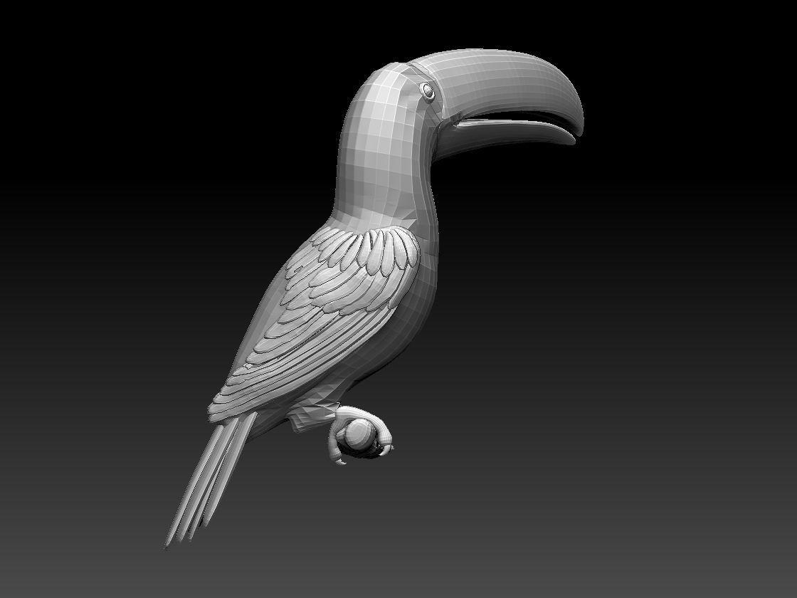 tucan toucan bird 3D model_16