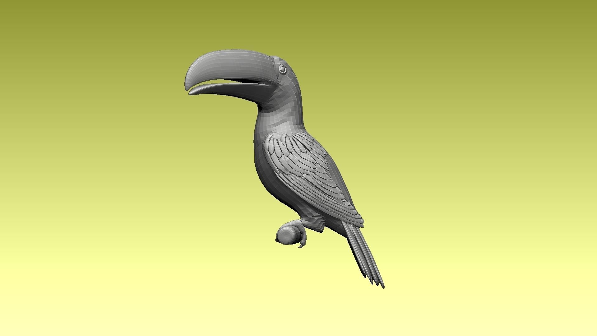 tucan toucan bird 3D model_3