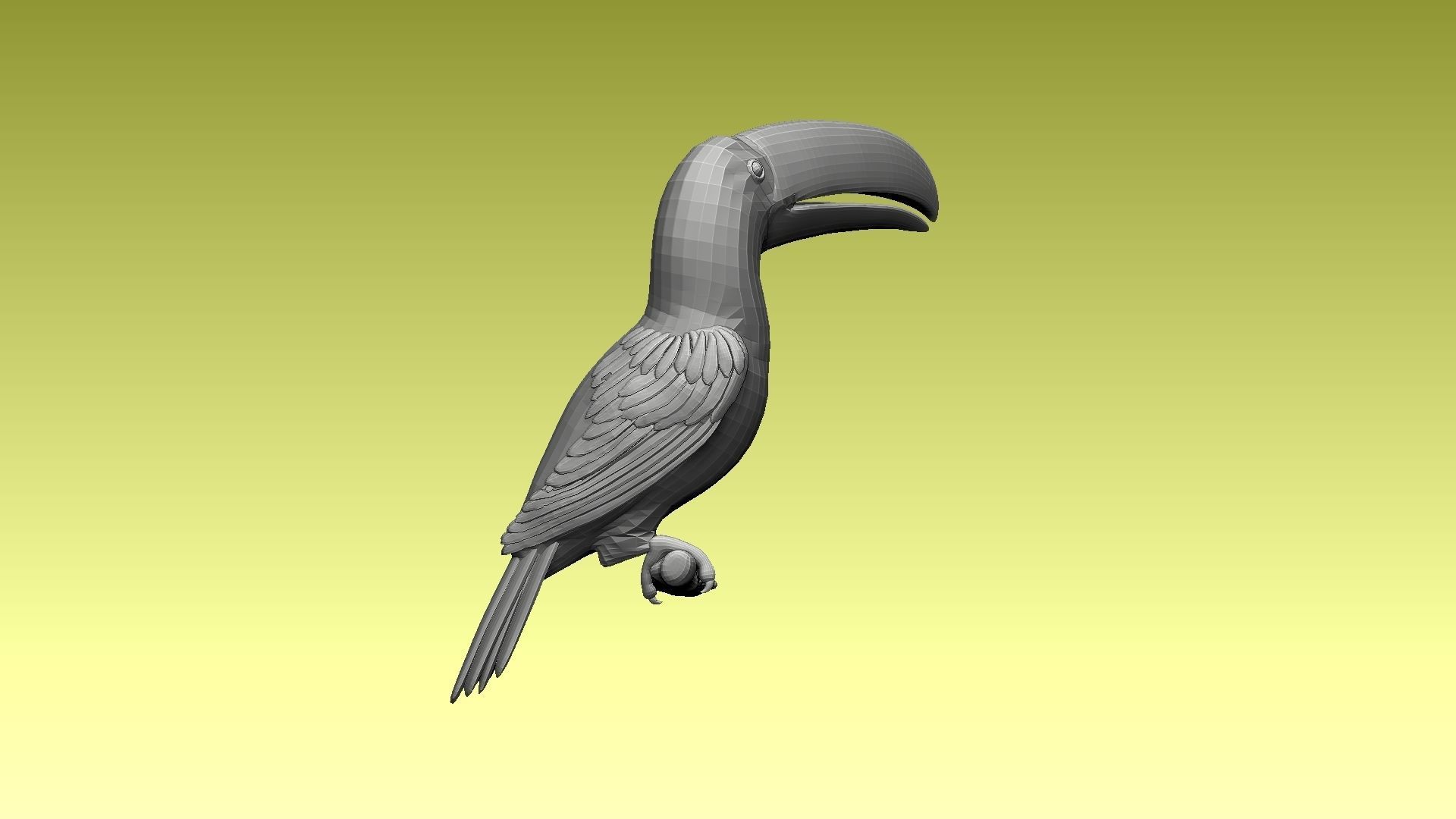 tucan toucan bird 3D model_5