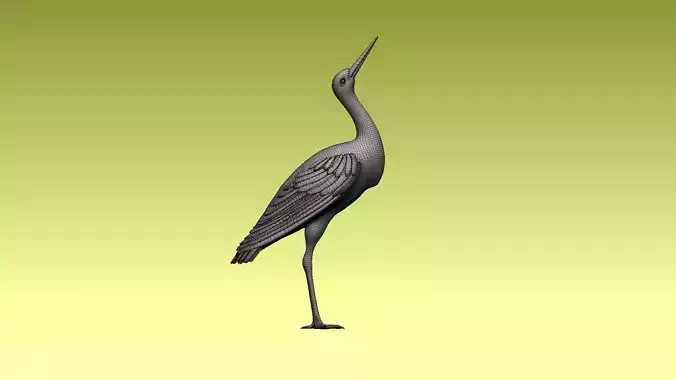 stork heron