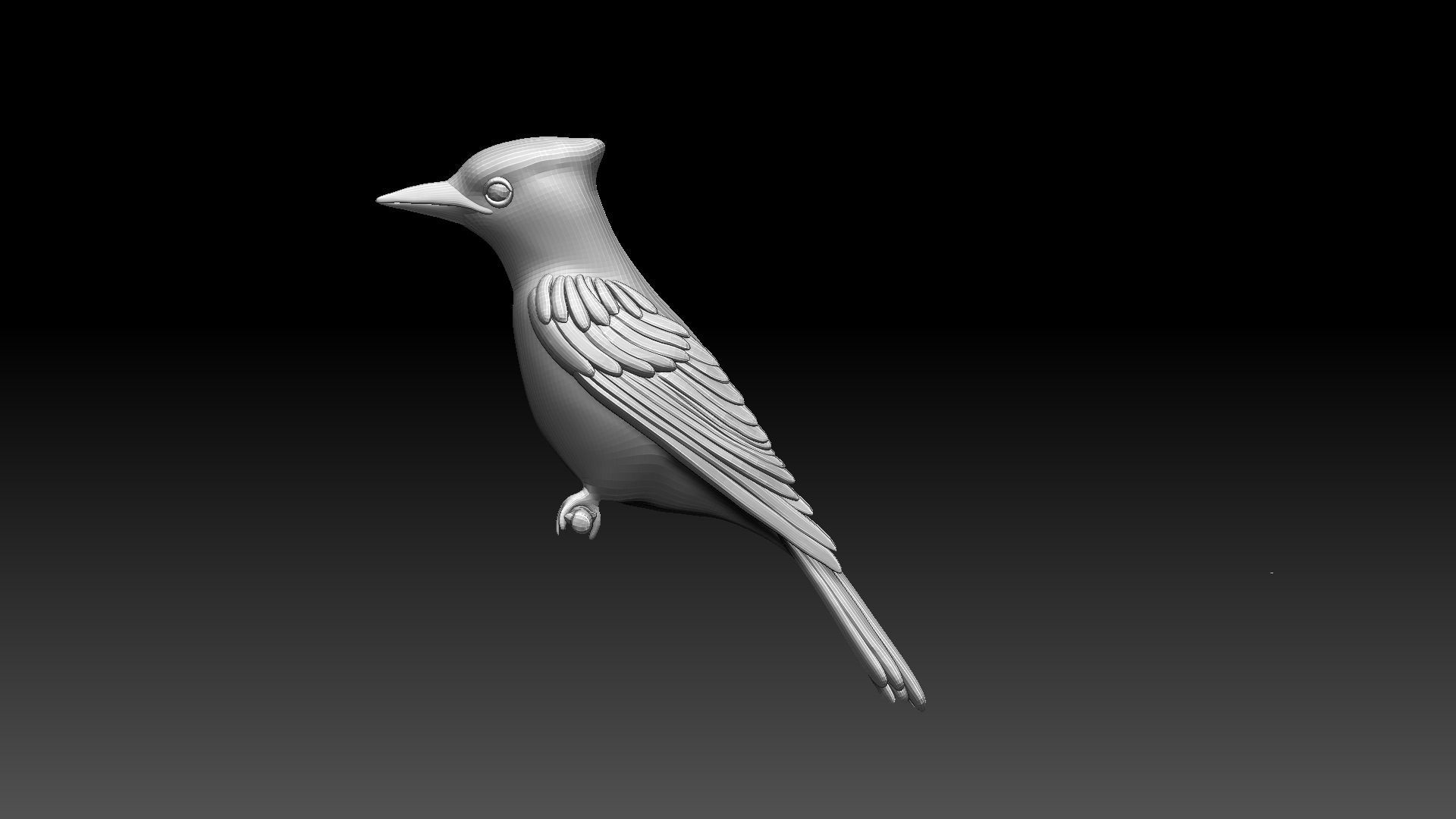jay bird 3D model_8