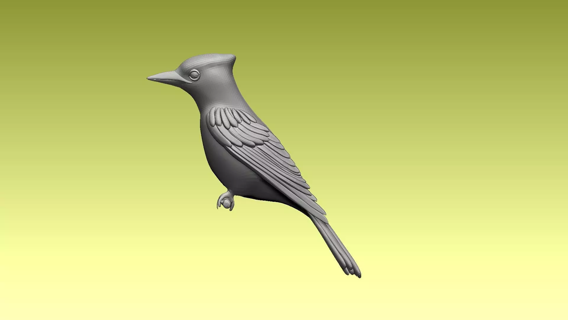 jay bird 3D model_0