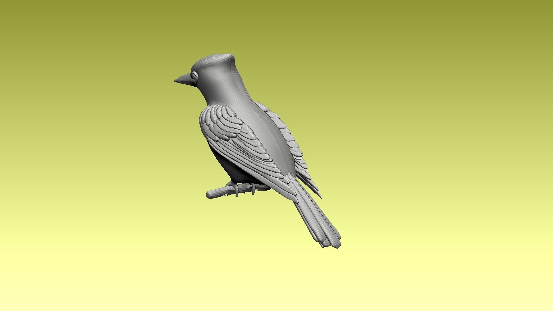 jay bird 3D model_6
