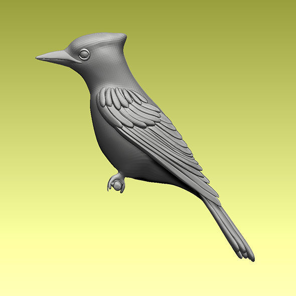jay bird 3D model_4