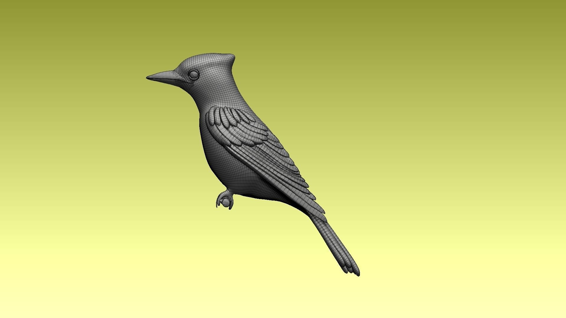 jay bird 3D model_7