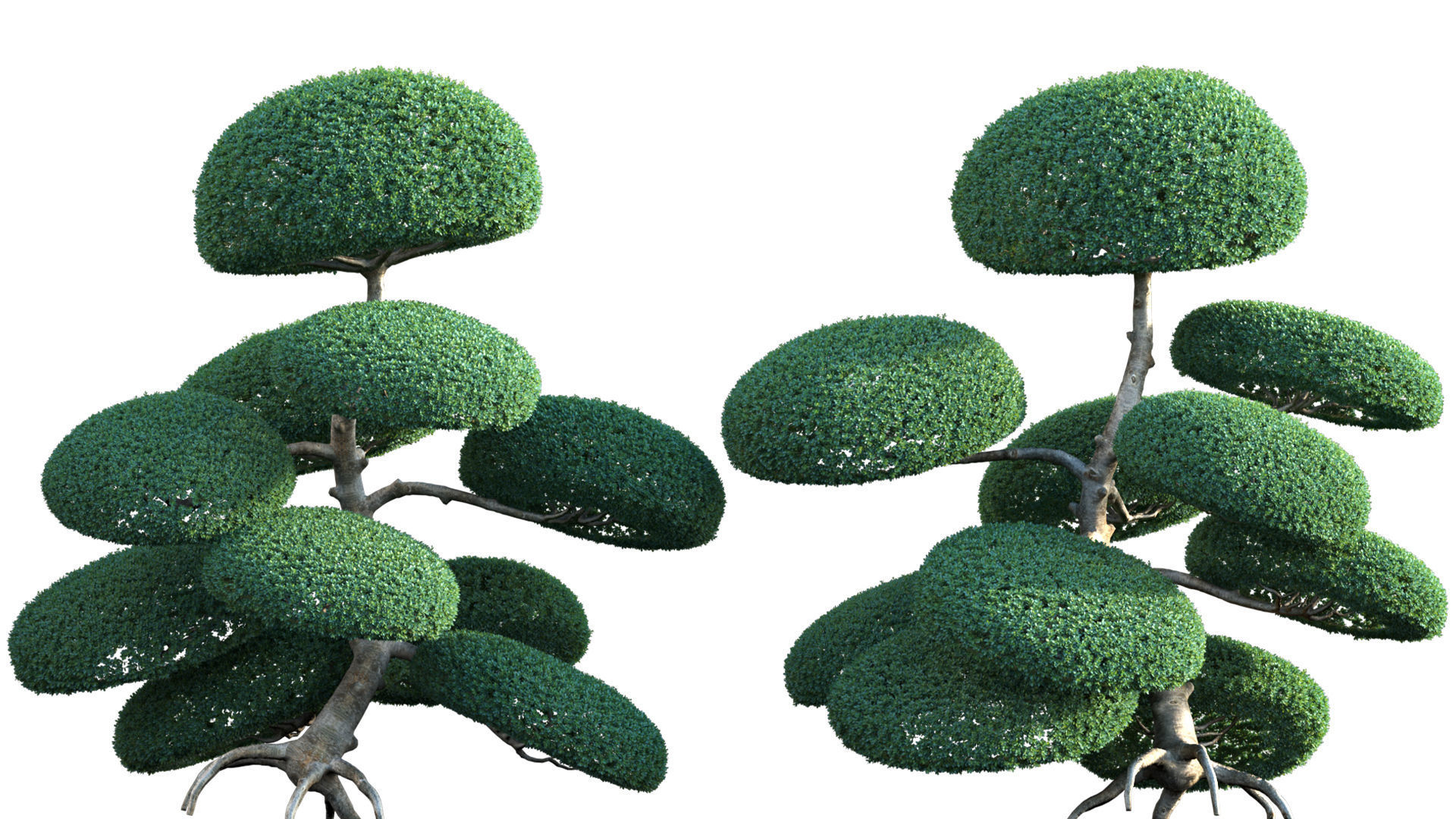 Bundle 24 - Japanese Garden 3D model_27