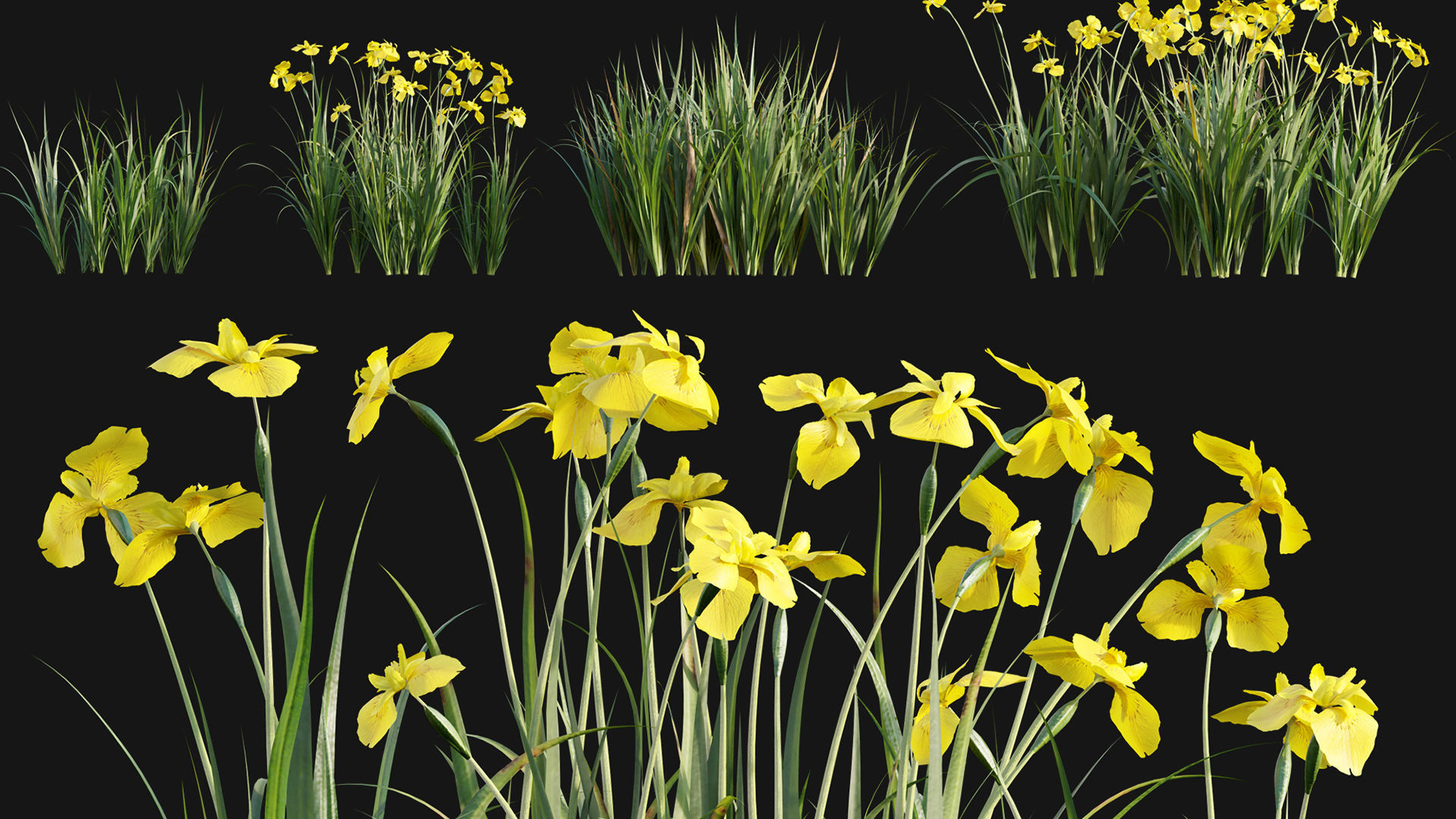 Bundle 24 - Japanese Garden 3D model_5