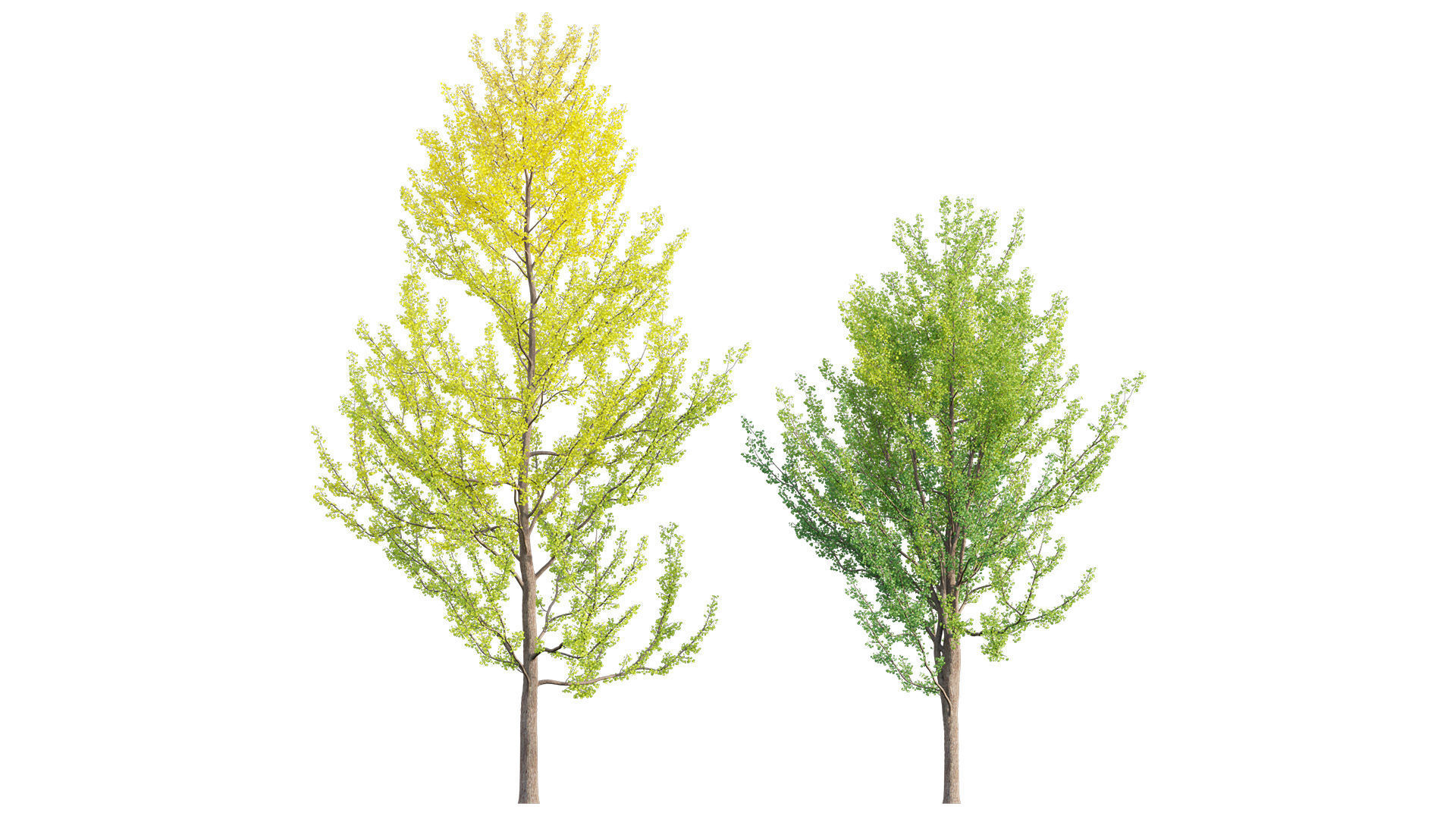 Bundle 24 - Japanese Garden 3D model_21