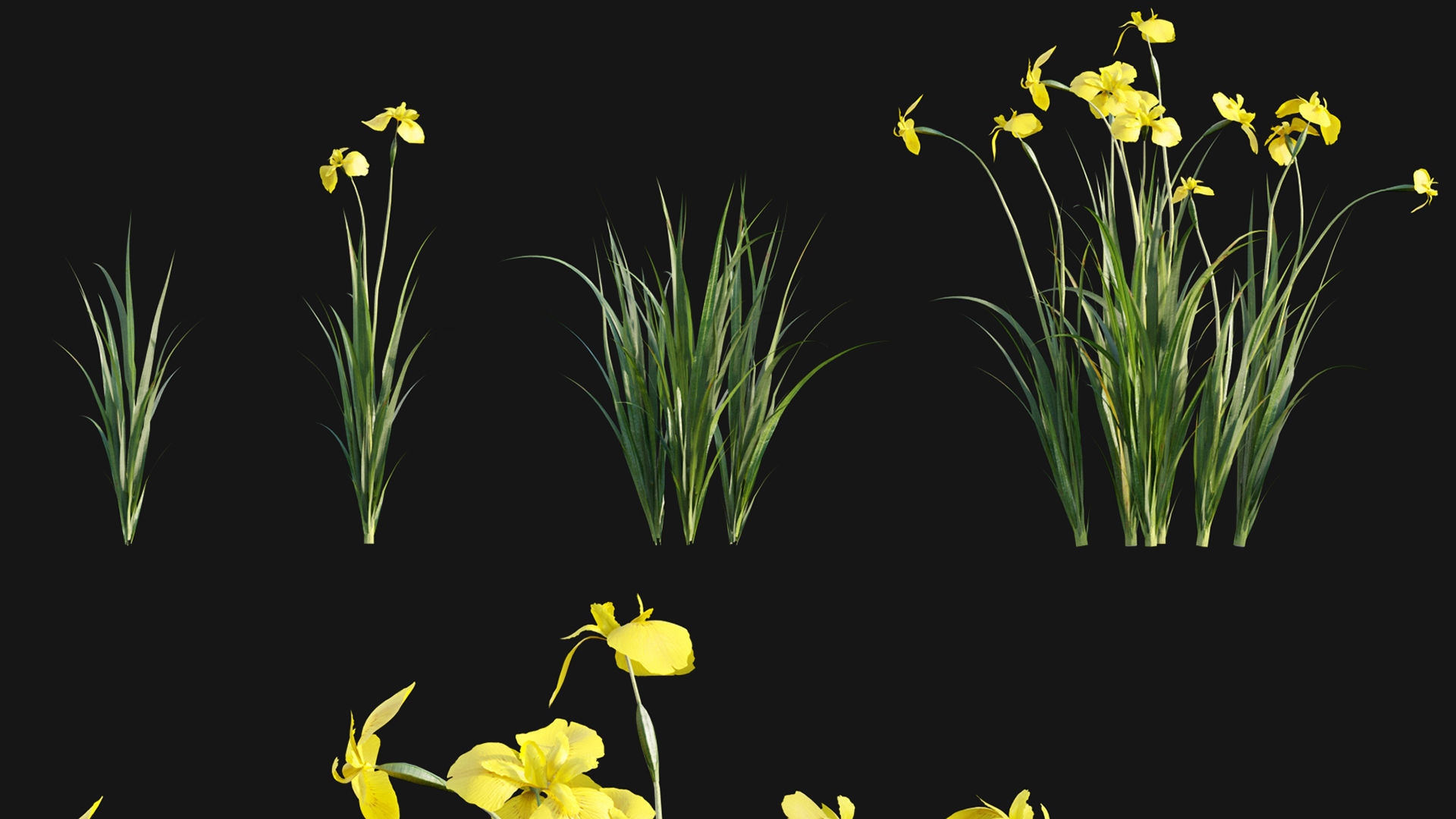 Bundle 24 - Japanese Garden 3D model_4