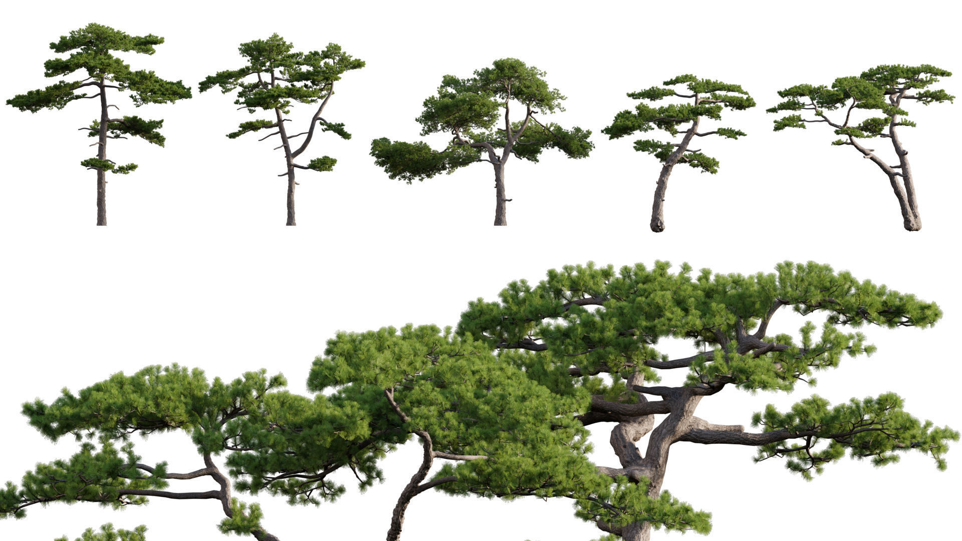 Bundle 24 - Japanese Garden 3D model_9
