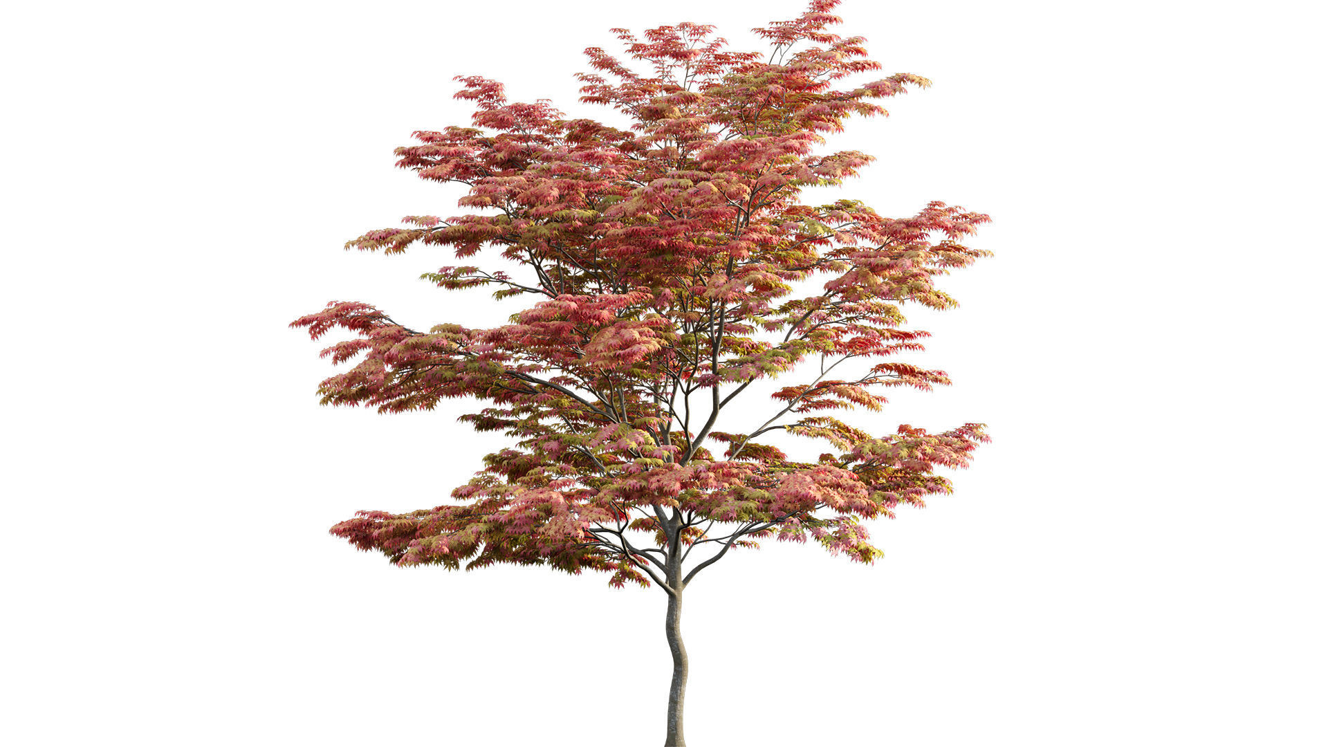 Bundle 24 - Japanese Garden 3D model_16