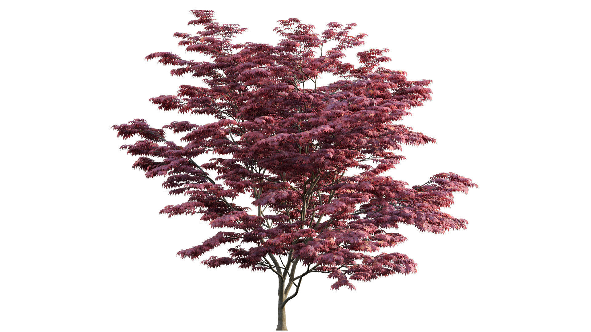 Bundle 24 - Japanese Garden 3D model_18