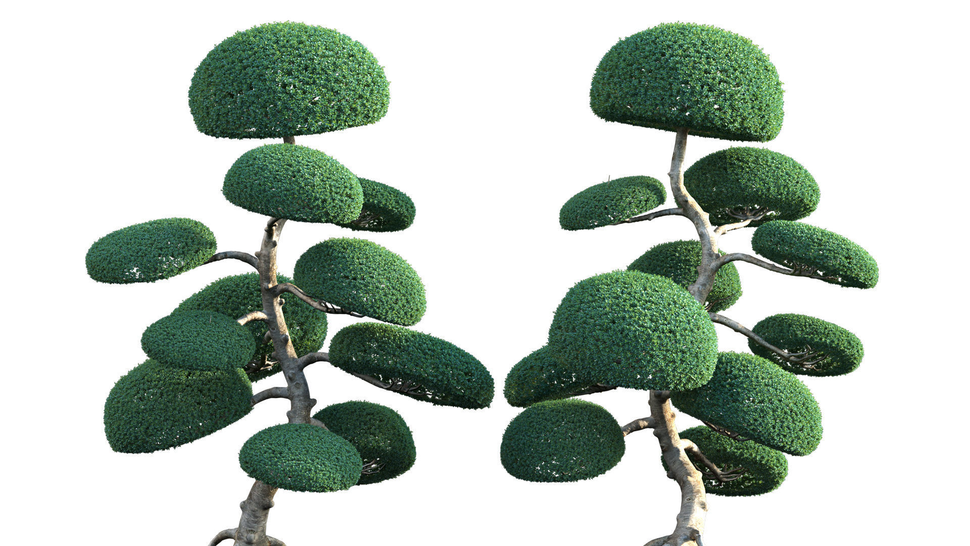 Bundle 24 - Japanese Garden 3D model_26