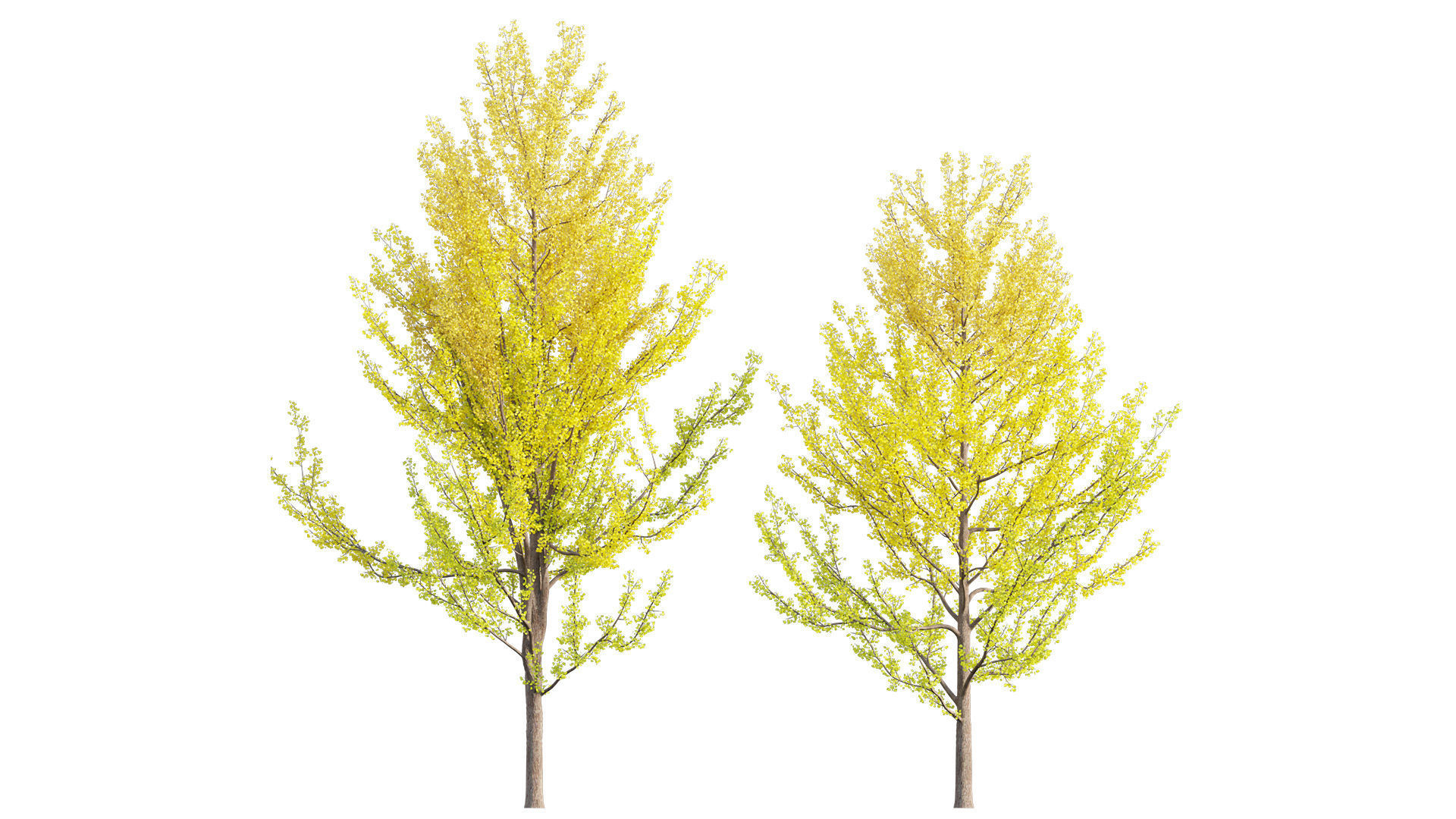 Bundle 24 - Japanese Garden 3D model_22