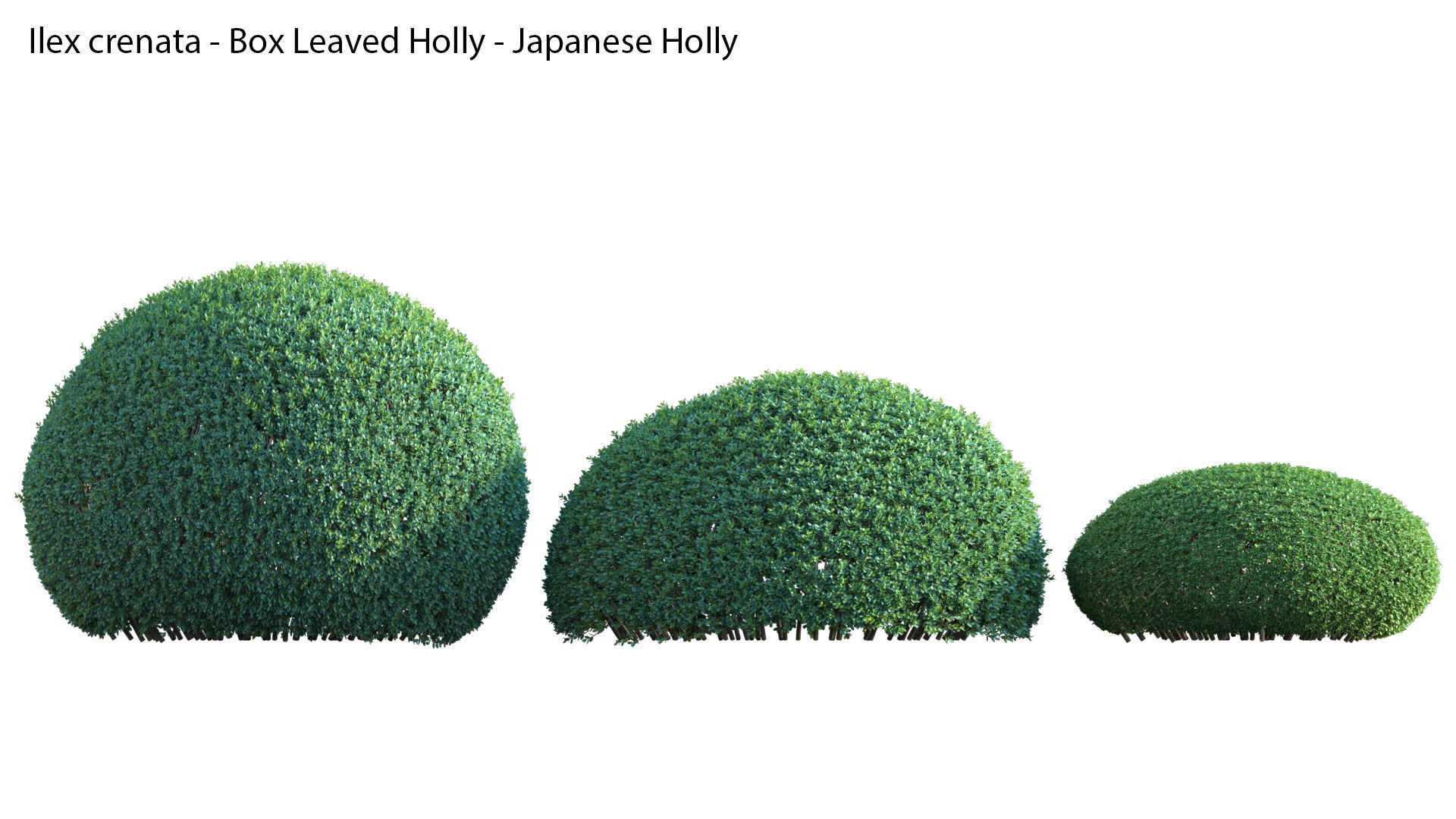 Bundle 24 - Japanese Garden 3D model_23