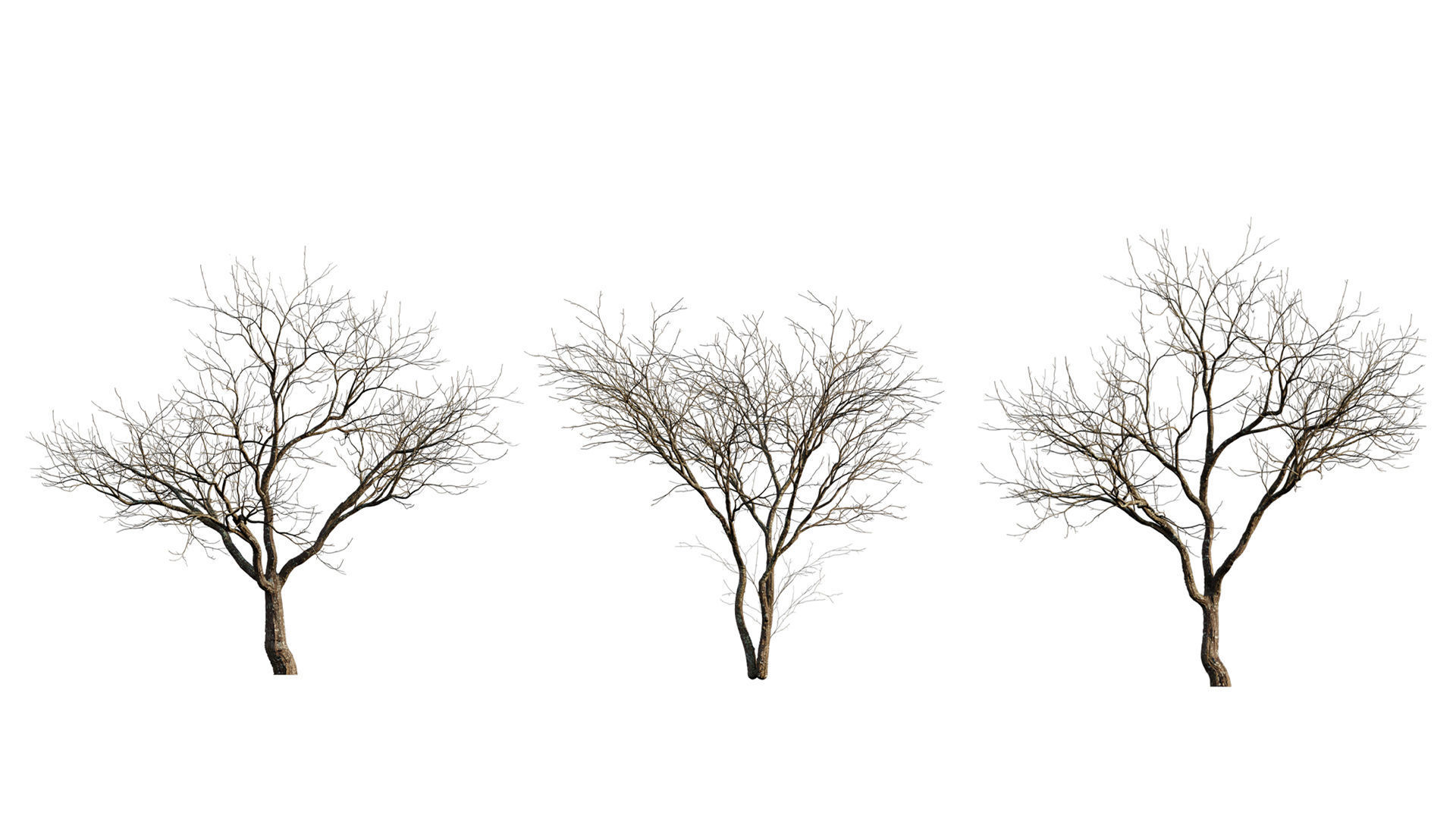 Bundle 24 - Japanese Garden 3D model_11