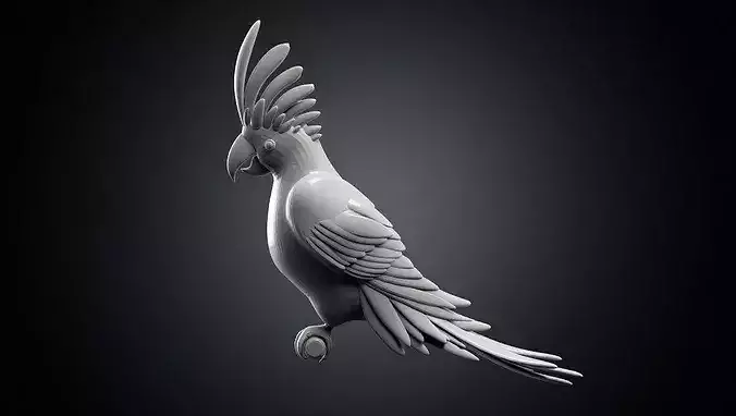 parrot cacadu