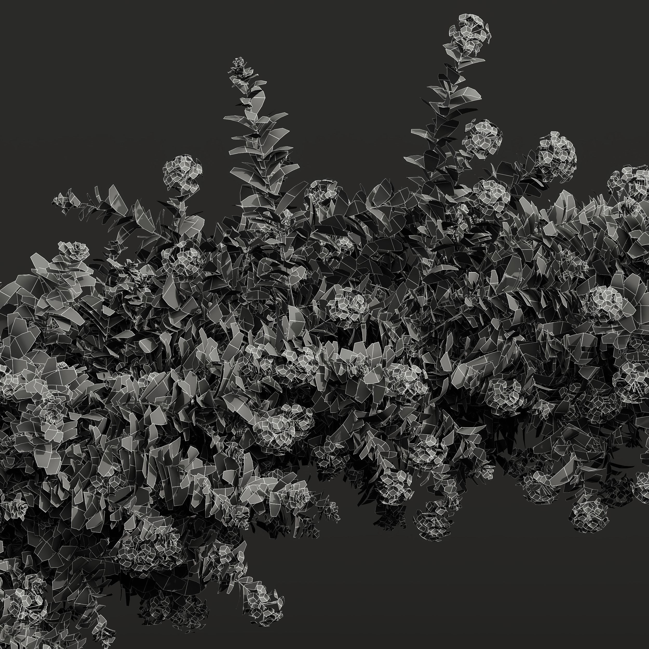 New Plant Ceratostigma Plumbaginoides Bleiwurz Decorative Free 3D model_4