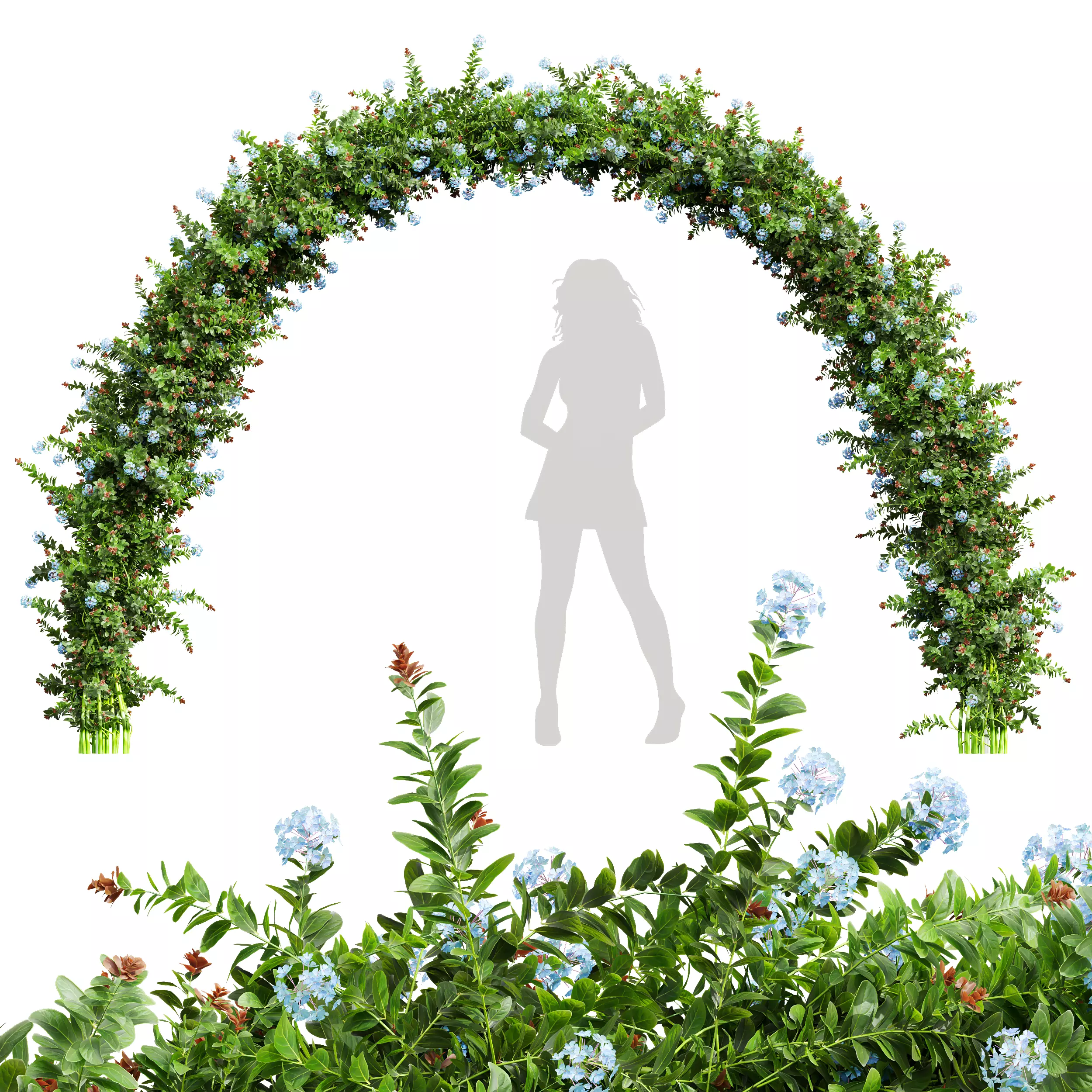 New Plant Ceratostigma Plumbaginoides Bleiwurz Decorative Free 3D model_0